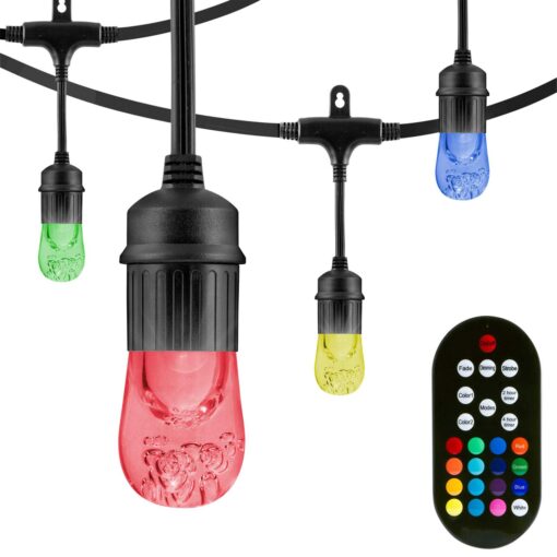 Ecoscapes LED Color-Changing Cafe Lights