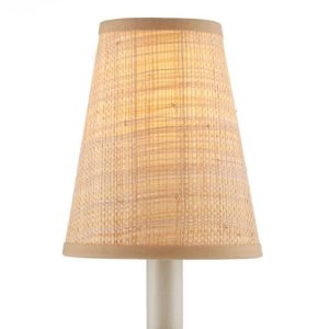 Chandelier Shade Currey and Company 0900