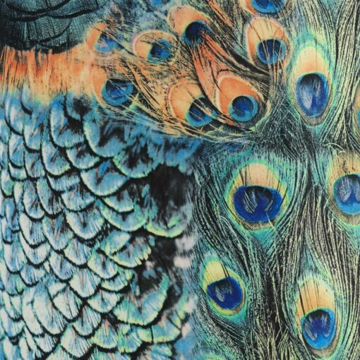 Springcrest Peacock Print Drum Lamp Shade 14x16x11 - Image 4