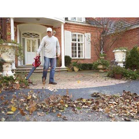 Toro Ultra 51619 Leaf Blower - Image 2