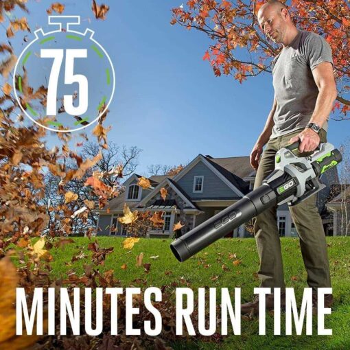 EGO POWER+ LB5302 Leaf Blower - Image 2