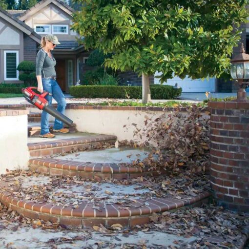 Toro Cordless Leaf Blower - Image 3