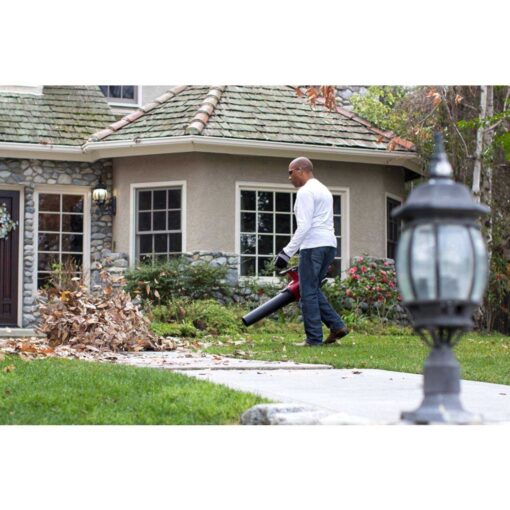 Toro Cordless Leaf Blower - Image 3