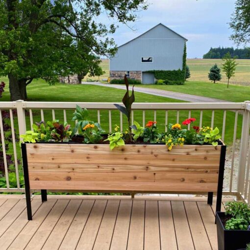 Cedar Planters Cedar 18 x Raised Garden Bed - Image 3