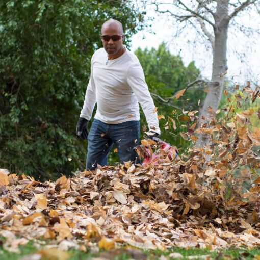 Toro 60-Volt Max Cordless Lithium-Ion Brushless Leaf Blower - Image 5
