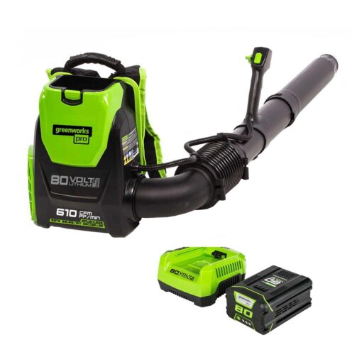 Greenworks 580 CFM Brushless Backpack Blower