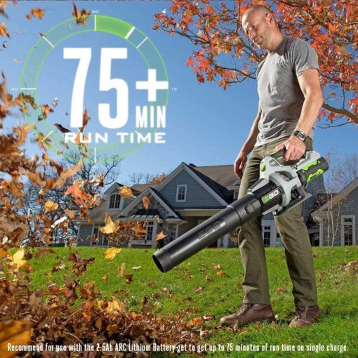 EGO LB5300 Leaf Blower - Image 4
