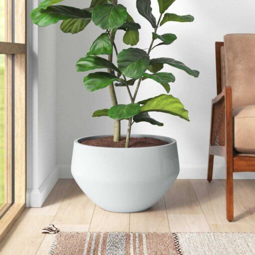 Joss & Main Paralimni Resin Pot Planter - Image 2