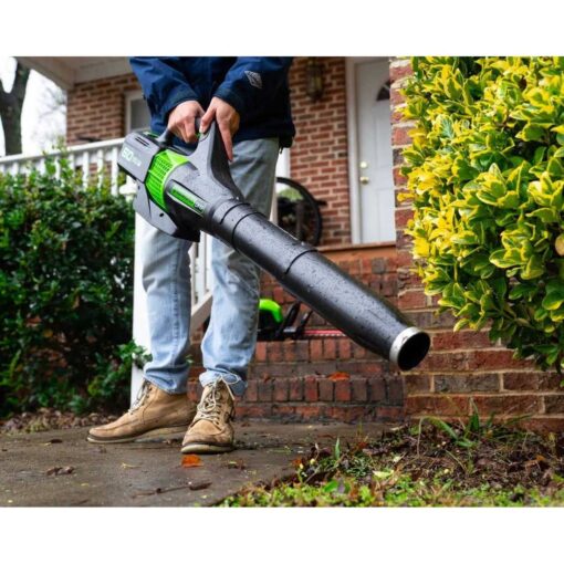 Greenworks 60V 450 CFM Cordless Battery Leaf Blower with 2.0Ah Battery & Charger - Image 2