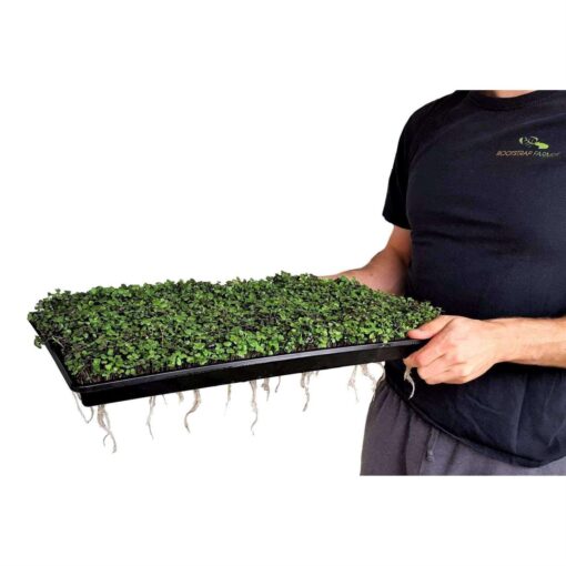 Bootstrap Farmer Trays 1020 Holes - Image 4