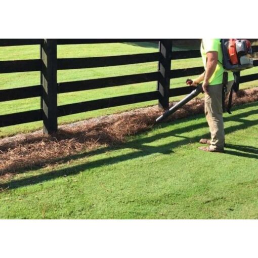 USA Pinestraw Premium Pine Straw Mulch B07LDVP4VN - Image 2