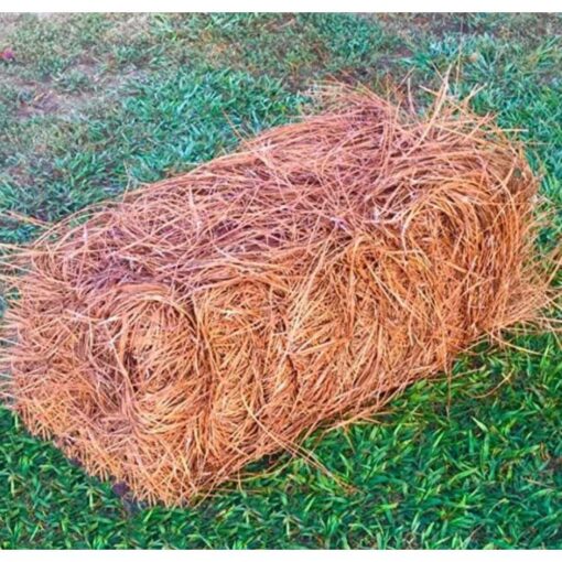 USA Pinestraw Premium Pine Straw Mulch B07LDVP4VN - Image 3