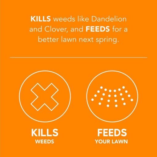 Scotts Turf Builder WinterGuard Fall Weed & Feed - Image 2