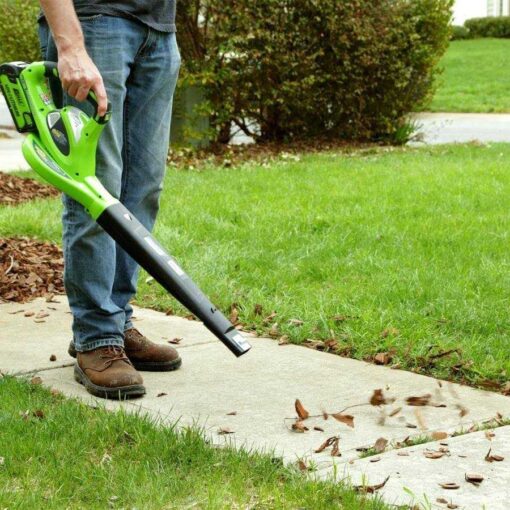Greenworks G-Max 24252 Leaf Blower - Image 3