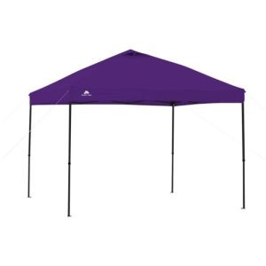 Ozark Trail 10' x 10' Straight Leg Instant Canopy
