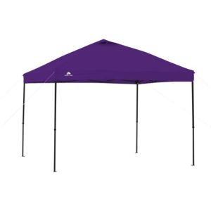 Ozark Trail 10' x 10' Straight Leg Instant Canopy