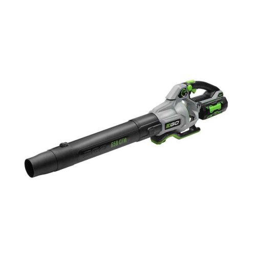 EGO 5.0Ah Cordless Lithium-Ion Leaf Blower — 650 CFM LB6504