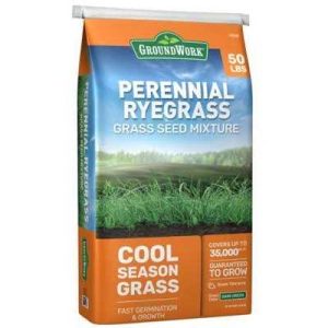 Groundwork Perennial Ryegrass