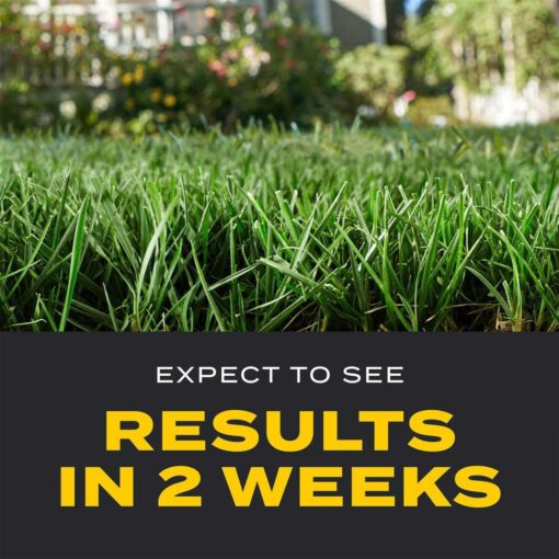 Scotts Turf Builder Triple Action Fertilizer - Image 4