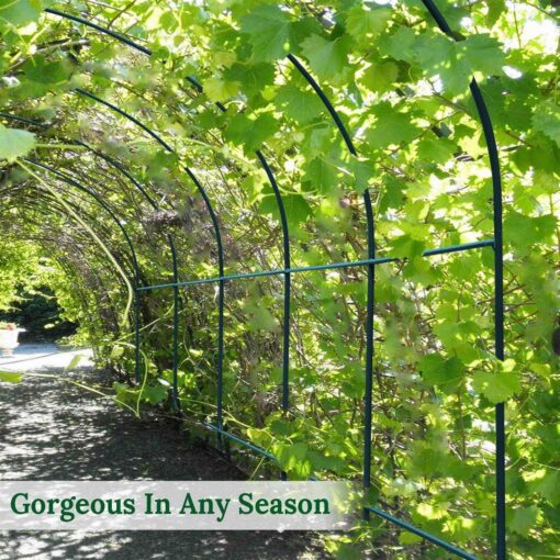 Benefit-USA Multi-Size Large Garden Support Arch Frame Climbing Plant Arch Arbor for Flowers/Fruits/Vegetables - Image 2