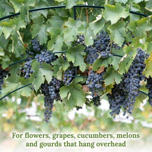 Benefit-USA Multi-Size Large Garden Support Arch Frame Climbing Plant Arch Arbor for Flowers/Fruits/Vegetables - Image 4