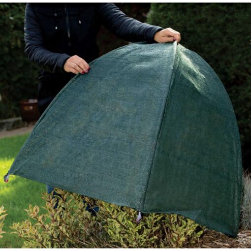 Nuvue Winter Shrub Cover Pop-Open - Image 5