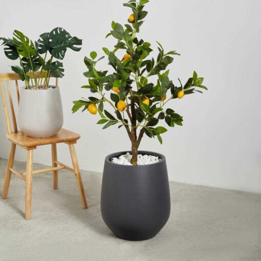 Fion Pot Planter Ebern Designs Color Gray - Image 5