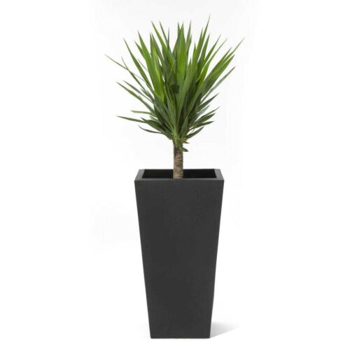 Step2 Tremont Square Self-Watering Plastic Pot Planter Step2 - Image 4