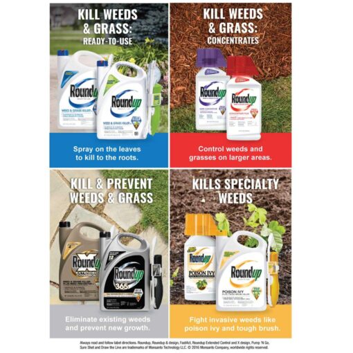 Roundup Super Concentrate Weed & Grass Killer - Image 5