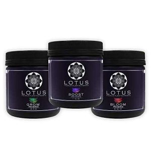 Lotus Nutrients Starter Kit Lawn and Garden Treatment