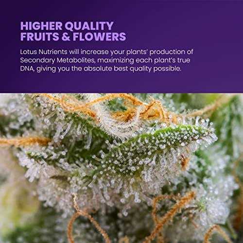 Lotus Nutrients Starter Kit Lawn and Garden Treatment - Image 5