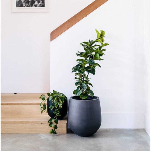 Dorlis Fiberstone Pot Planter Orren Ellis - Image 3