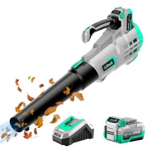 Litheli 20V Cordless Leaf Blower, 350 MPH and Variable Speeds Electric Leaf Blower for Cleaning Leaves