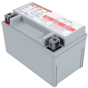 MTD Genuine Factory Parts MTD Parts 12-Volt Absorbent Glass Mat Battery