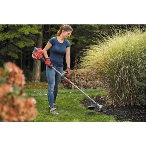 CRAFTSMAN WS2200 Tool Attachment - Image 4