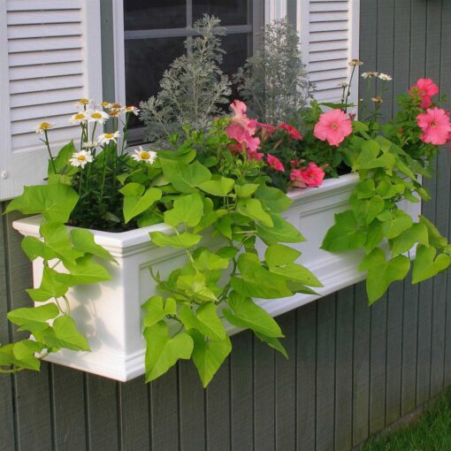 Mayne Fairfield Window Box - Image 2
