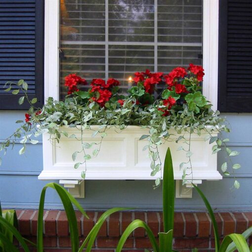 Mayne Fairfield Window Box - Image 5