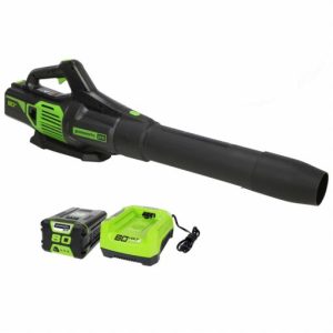 Greenworks Pro 2424402VT Cordless Blower