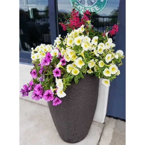 Alcott Hill Callan Self-Watering Plastic Pot Planter - Image 4