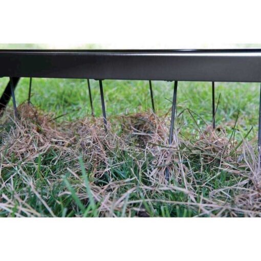 Agri-Fab 40-in Dethatcher - Image 2