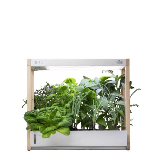 Rise Gardens Personal Indoor Rise Garden - Image 2