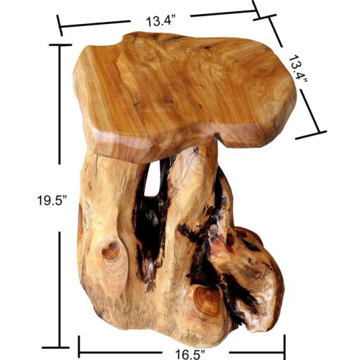 Greenage Cedar Roots Flower Stand Stool - Image 3