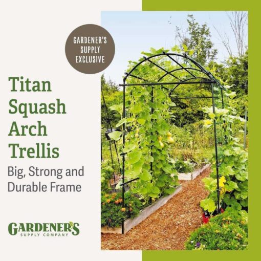 Gardener’s Supply Company Gardener’s Supply Company Extra Tall Garden Arch Arbor 80in Titan Squash Tunnel - Image 2