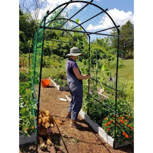 Gardener’s Supply Company Gardener’s Supply Company Extra Tall Garden Arch Arbor 80in Titan Squash Tunnel - Image 3