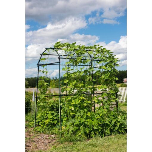 Gardener’s Supply Company Gardener’s Supply Company Extra Tall Garden Arch Arbor 80in Titan Squash Tunnel - Image 5