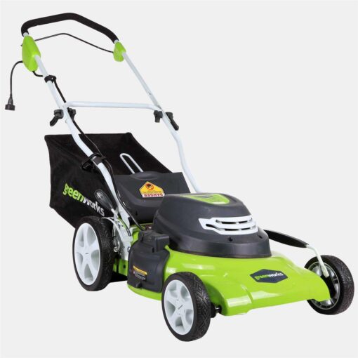 Greenworks 25022