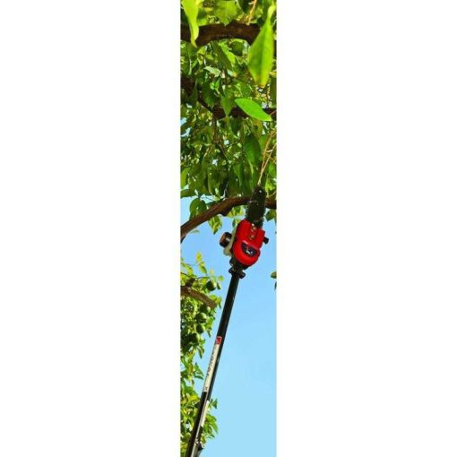 TrimmerPlus Pole Saw Attachment - Image 2