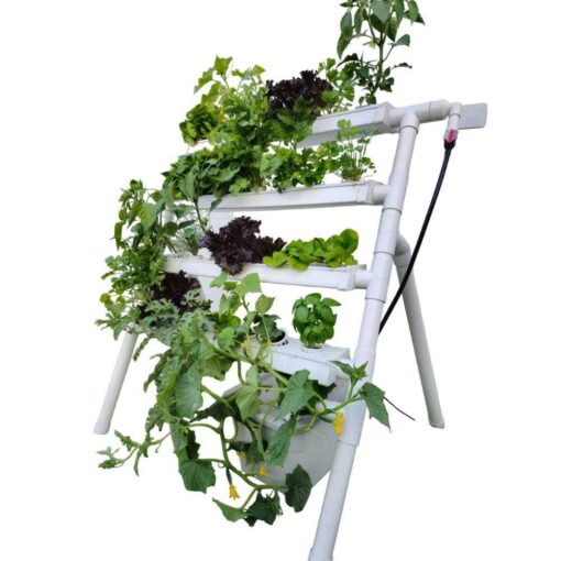 Homie 28 – Home Hydroponic Growing System - Image 2
