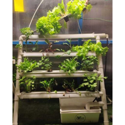 Homie 28 – Home Hydroponic Growing System - Image 3