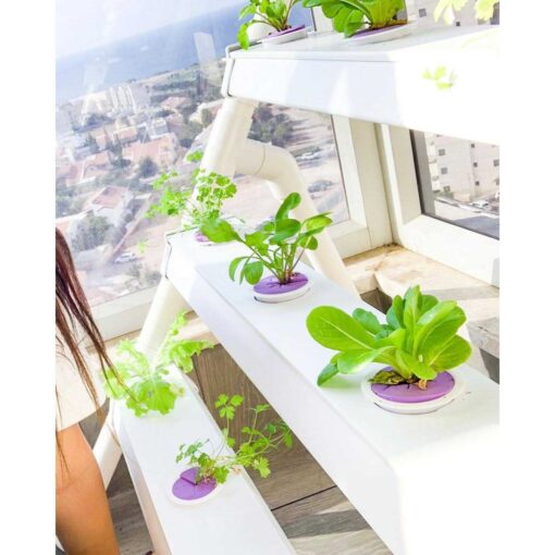 Homie 28 – Home Hydroponic Growing System - Image 5
